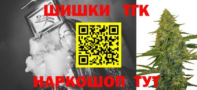 молекула духа Гатчина