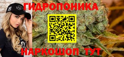 молекула духа Гатчина